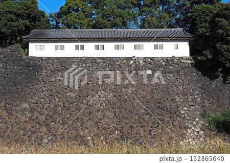 皇居 乾通りから見た富士見多聞【東京都千代田区】 132865640