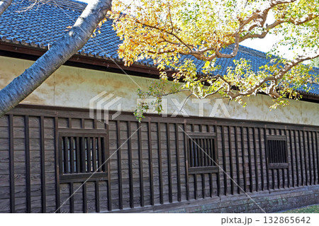 皇居 乾通りの御養蚕所【東京都千代田区】 132865642