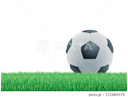 Soccer ball and green grass stock illustration 132866376