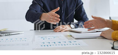 Businesspeople shaking hands, confirming partnership agreement while sitting in contemporary corporate sunny office. Business handshake concept Businesspeople shaking hands, confirming partnership agreement while sitting in contemporary corporate sunny office. Business handshake concept 132866615