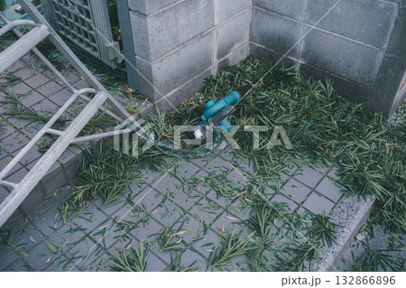 Japanese Gardener 132866896