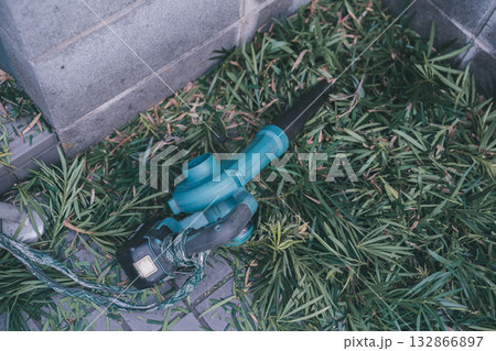 Japanese Gardener 132866897