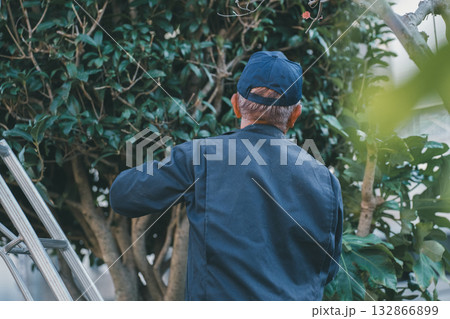 Japanese Gardener Japanese Gardener 132866899