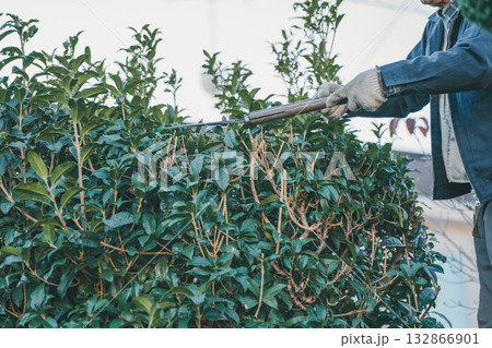 Japanese Gardener Japanese Gardener 132866901