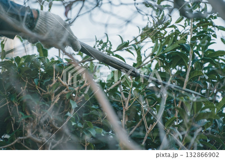 Japanese Gardener Japanese Gardener 132866902