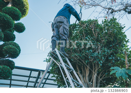 Japanese Gardener Japanese Gardener 132866903