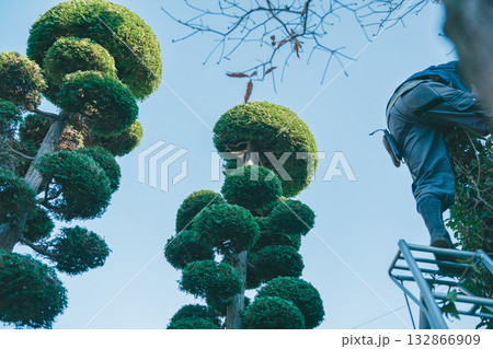 Japanese Gardener 132866909