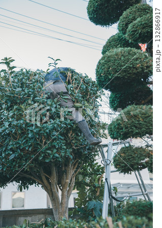 Japanese Gardener 132866917