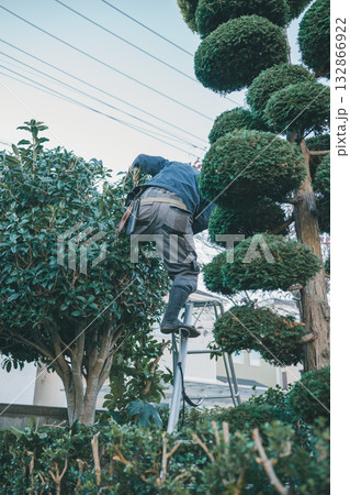 Japanese Gardener Japanese Gardener 132866922