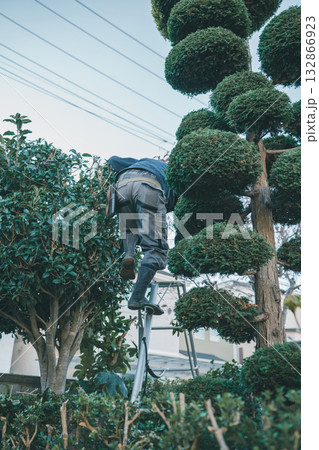 Japanese Gardener Japanese Gardener 132866923