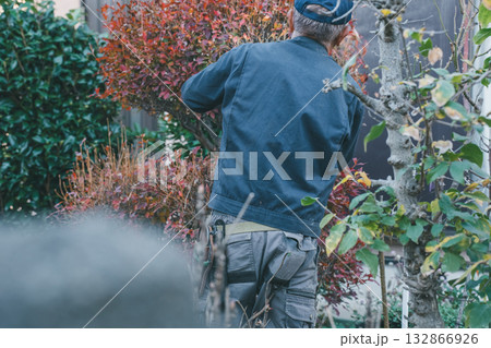 Japanese Gardener 132866926