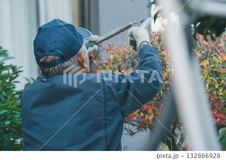 Japanese Gardener 132866928