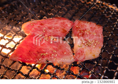 おいしい焼き肉屋の上カルビ焼肉 132866981