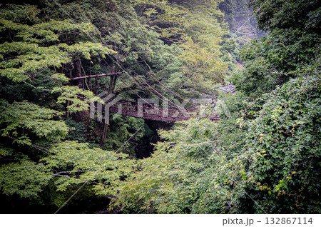 四国 徳島 祖谷のかずら橋 四国 徳島 祖谷のかずら橋 132867114