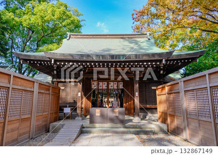 川越市　川越氷川神社　拝殿　毎年11月、拝殿前を東西に囲いをした風景 132867149