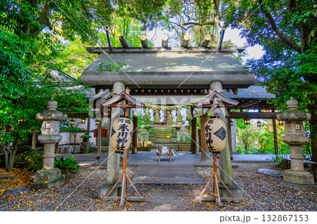 川越市　川越氷川神社　本殿 132867153