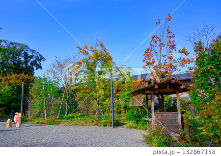 川越市　川越氷川神社　氷川会館 132867158
