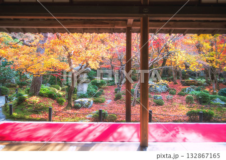 red carpet on veranda to view autumn garden in Enkoji temple, Kyoto red carpet on veranda to view autumn garden in Enkoji temple, Kyoto 132867165