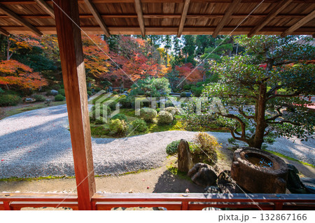 rock garden with autumn foliage colors of Manshuin temple, Kyoto rock garden with autumn foliage colors of Manshuin temple, Kyoto 132867166