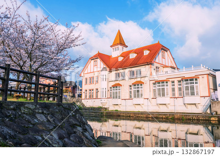 Siebold no Yu and pink sakura blossom at Ureshino park, Saga Siebold no Yu and pink sakura blossom at Ureshino park, Saga 132867197