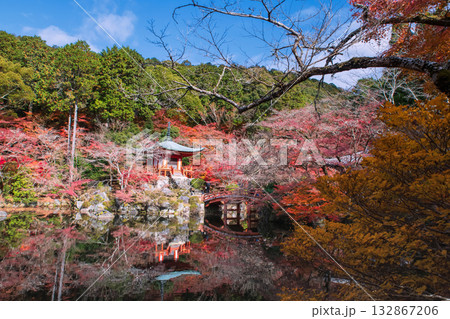Daigoji Pavilion pagoda with autumn garden by pond, Kyoto 132867206