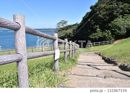 波戸岬ののどかな海岸線 波戸岬ののどかな海岸線 132867339