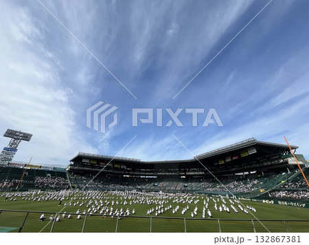 甲子園　小連体　体育大会　運動会　芝生　野球場　イベント　甲子園球場 132867381