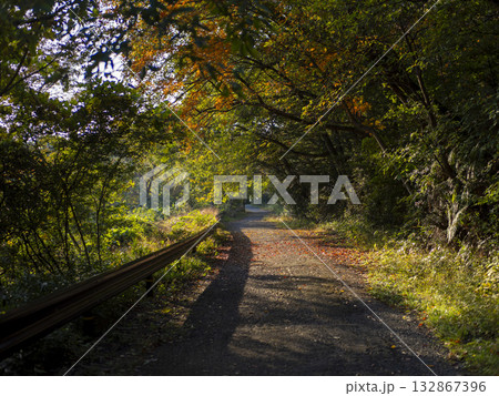 秋の山を通る道路の風景 132867396