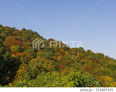 山に広がる紅葉と青空に浮かぶ月 山に広がる紅葉と青空に浮かぶ月 132867435