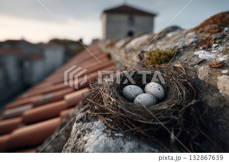 Nest of birds resting between rooftop tiles at dusk near a tranquil village setting Nest of birds resting between rooftop tiles at dusk near a tranquil village setting 132867639