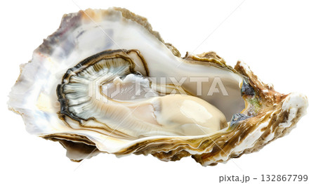 Fresh opened oyster isolated on white background png transparent clipart. 132867799