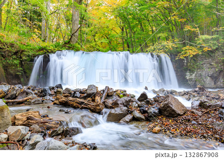 秋の奥入瀬渓流 銚子大滝 青森県十和田市 秋の奥入瀬渓流 銚子大滝 青森県十和田市 132867908