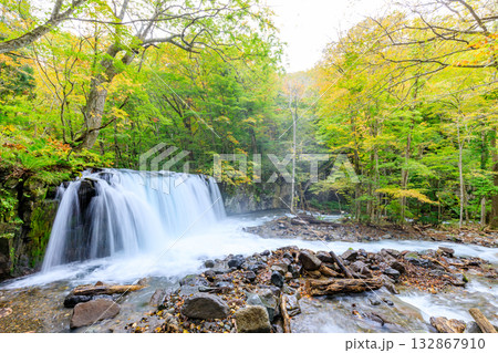 秋の奥入瀬渓流　銚子大滝　青森県十和田市 132867910