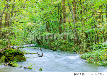 秋の奥入瀬渓流 青森県十和田市 秋の奥入瀬渓流 青森県十和田市 132867917