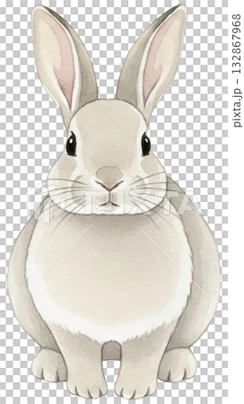 Simple watercolor illustration of a rabbit 132867968