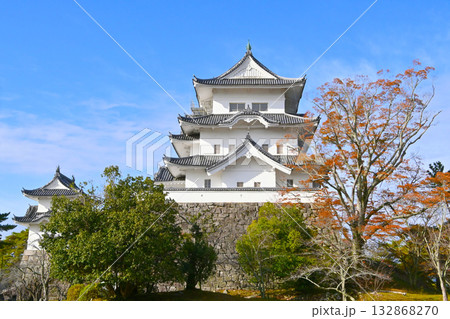 秋の伊賀上野城 132868270