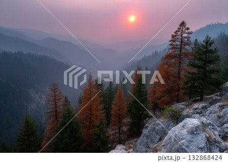 Forest landscape with scattered dead trees at sunset in misty mountains 132868424