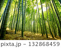 京都府　伏見稲荷大社　竹の下道　京都市伏見区深草藪之内町　2022 年 2月 132868459