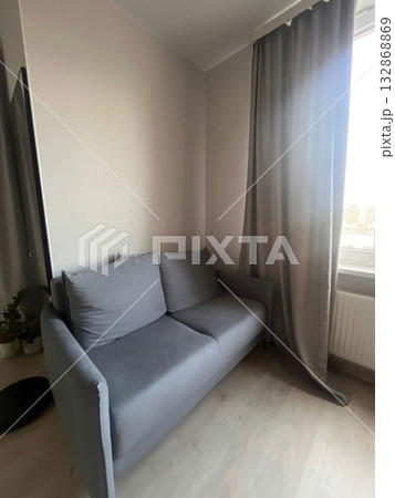Cozy Gray Sofa in a Minimalist Room 132868869