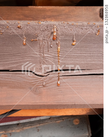 Drips of Resin on Weathered Brown Wood 132868958