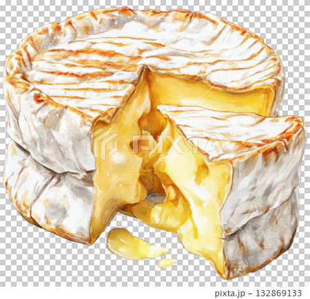 Camembert Cheese 132869133