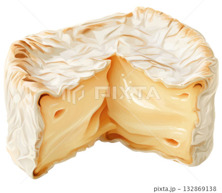 Camembert Cheese 132869138