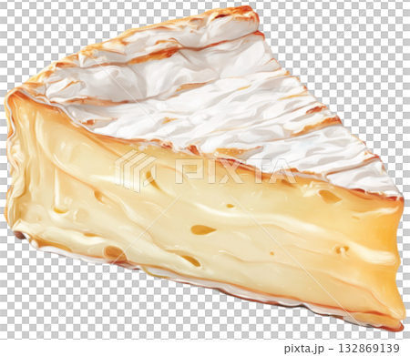 Camembert Cheese 132869139