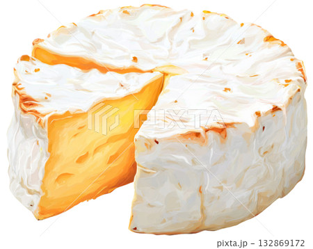 Camembert Cheese 132869172