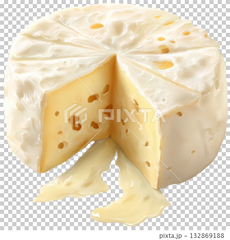 Camembert Cheese 132869188