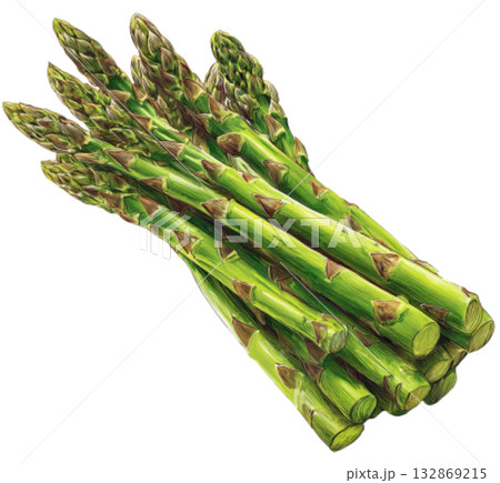 asparagus 132869215