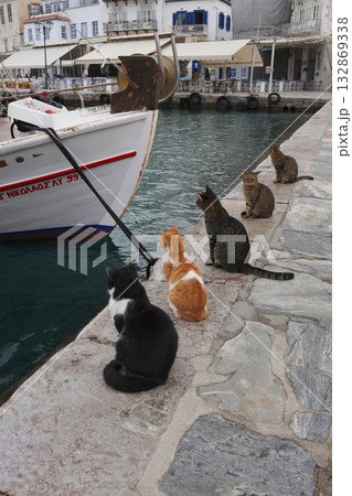 ギリシャ、イドラ島のネコ ギリシャ、イドラ島のネコ 132869338