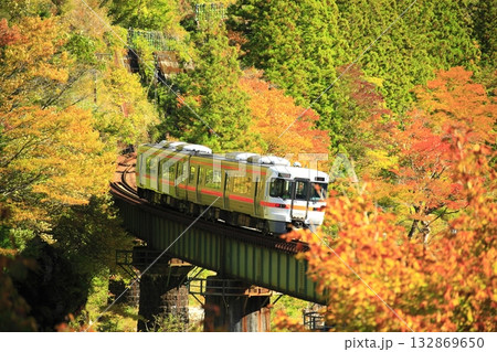 絶景紅葉の高山本線 132869650