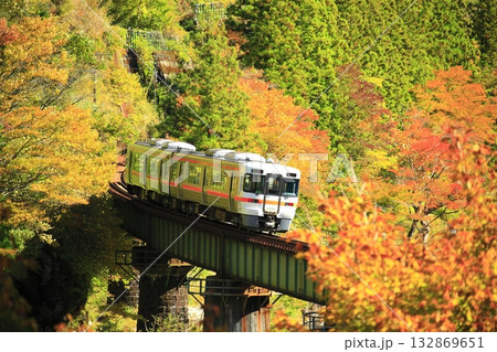 絶景紅葉の高山本線 132869651