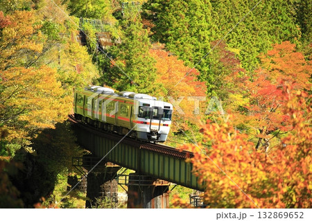 絶景紅葉の高山本線 132869652